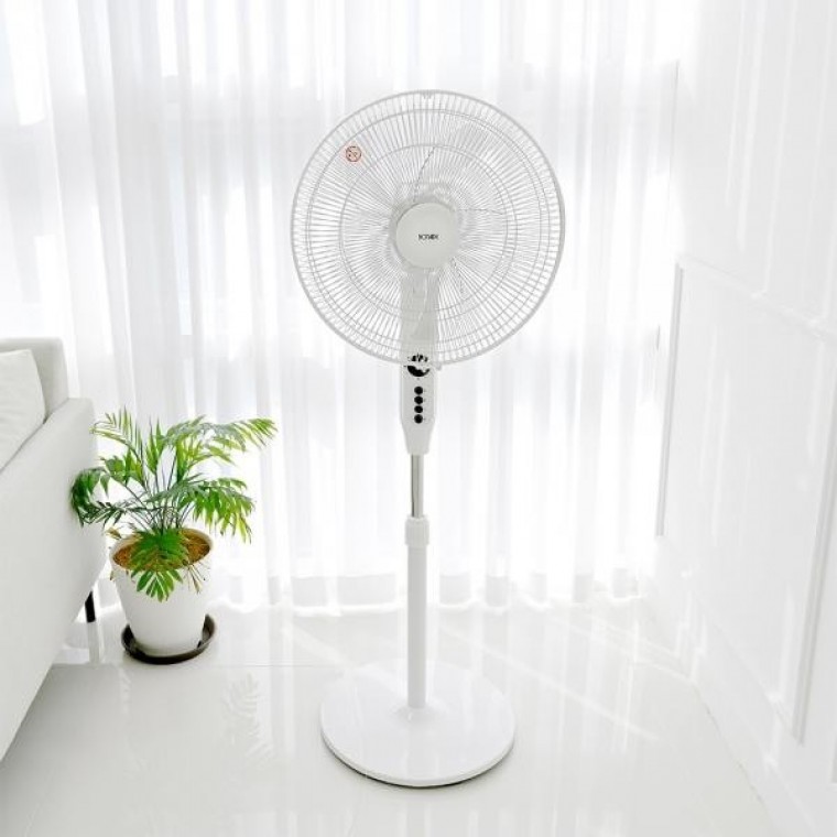 Bonnard 16Form Stand Electric fan storeElectric fan BO-16S